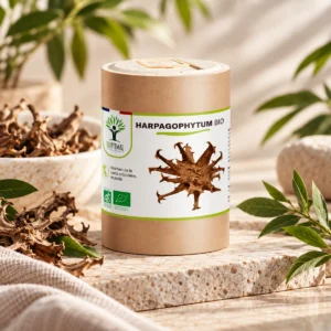 Harpagophytum Bio Bioptimal 200 gélules